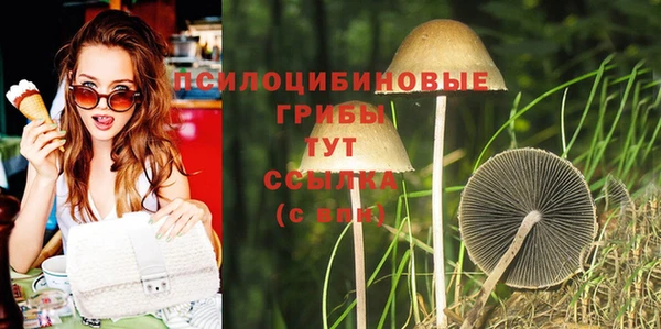 гидра Ступино