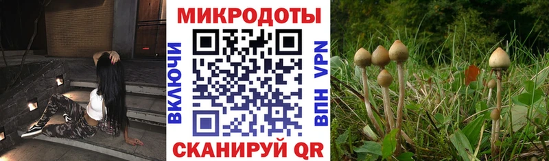 сколько стоит Новоуральск Псилоцибиновые грибы GOLDEN TEACHER